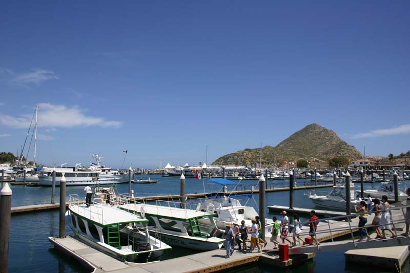 Cabo San Lucas 15